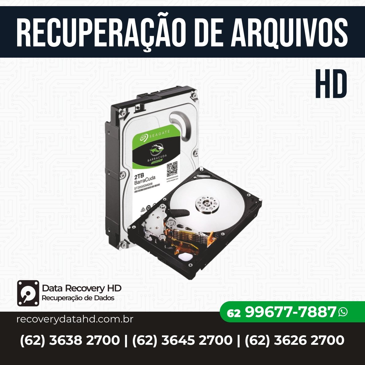 RECOVERY DATA HD-RECUPERAÇÃO DE ARQUIVOS DE HD GOIANIA