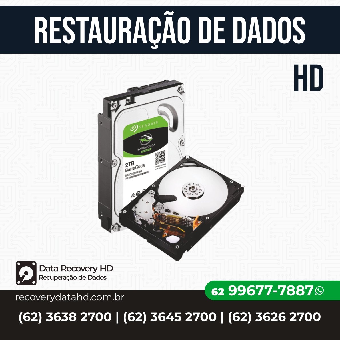 RECOVERY DATA HD-RESTAURAÇÃO DE ARQUIVOS HD GOIANIA