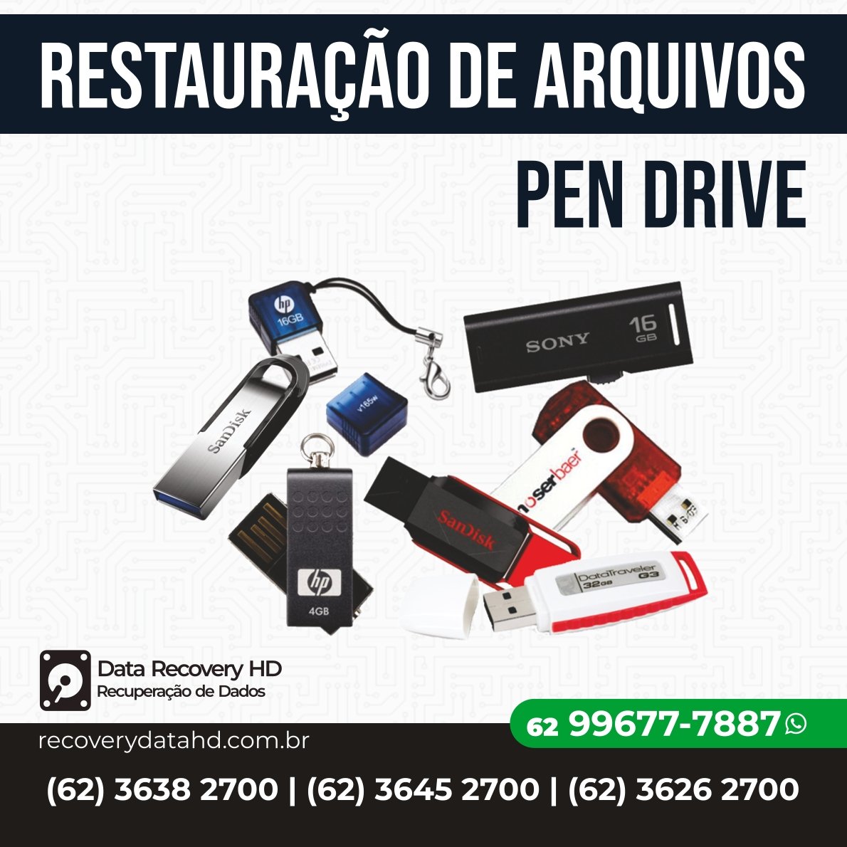 RECOVERY DATA HD-RESTAURAÇÃO DE ARQUIVOS PEN DRIVE GOIANIA