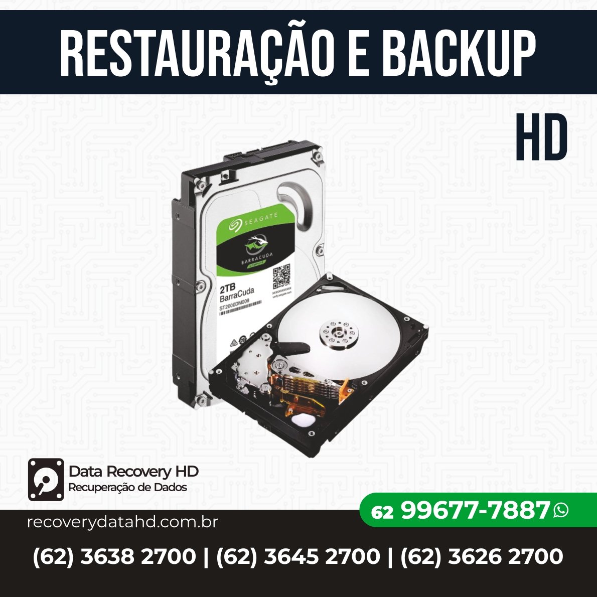 RECOVERY DATA HD-RESTAURAÇÃO E BACKUP HD GOIAS